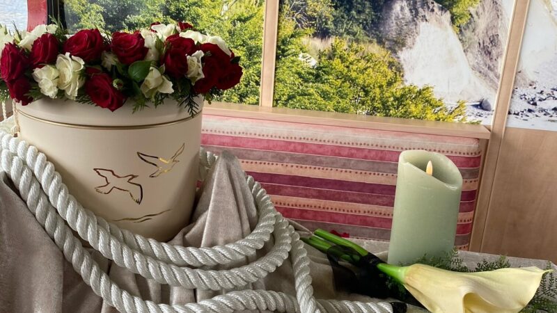 image6 image6