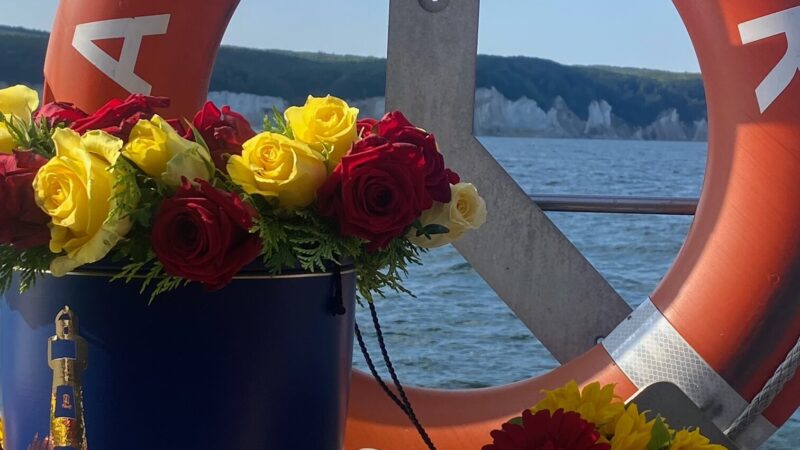 image7 image7